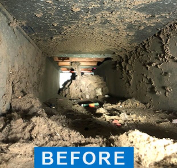 Edmonton Duct Cleaning Gallery Excellent Furnace Cleaning Ltd